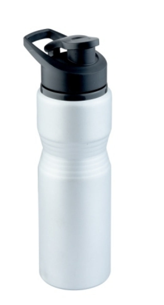Silver Matt Sipper Water Bottle with Handle & Lid Cap, Capacity: 750 mL