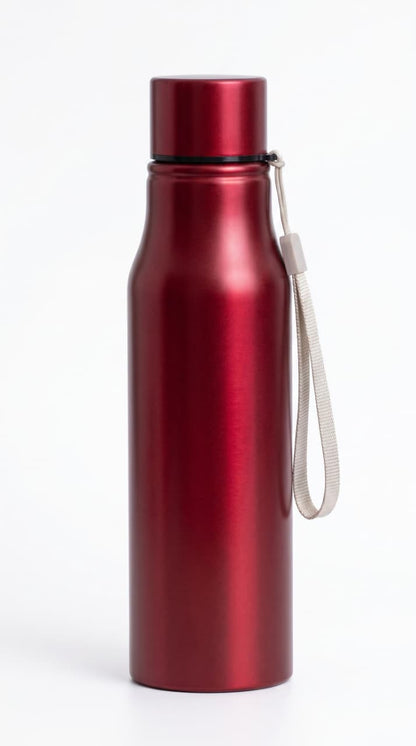 Stainless Steel Matt Finish Water Bottle-650ML, Single Wall Leak-Proof Gym and Sports Drink Sipper Bottle