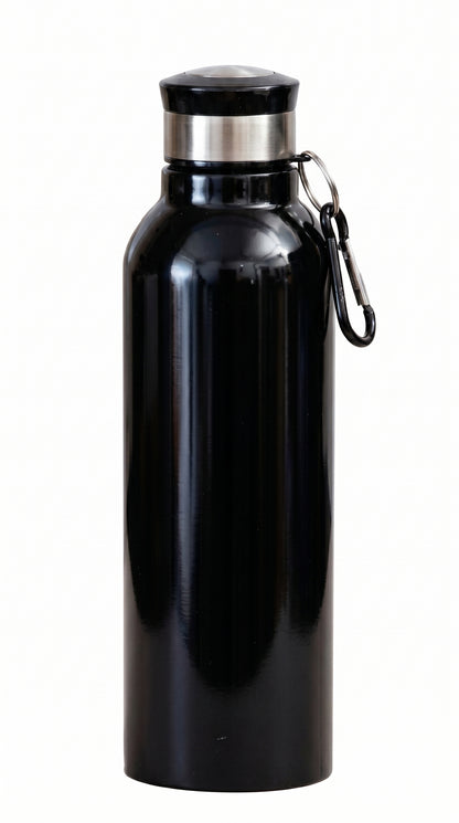 Stainless Steel Water Bottle With Carabiner Insulated Bottle, Capacity: 750 mL