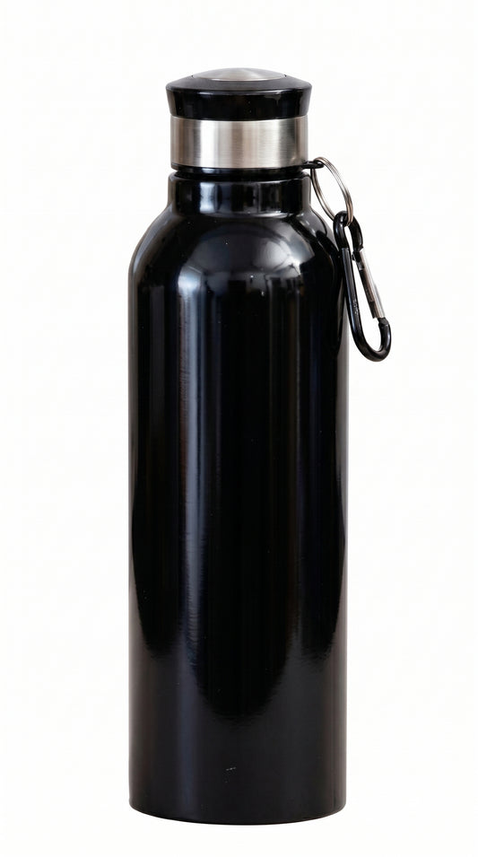 Stainless Steel Water Bottle With Carabiner Insulated Bottle, Capacity: 750 mL