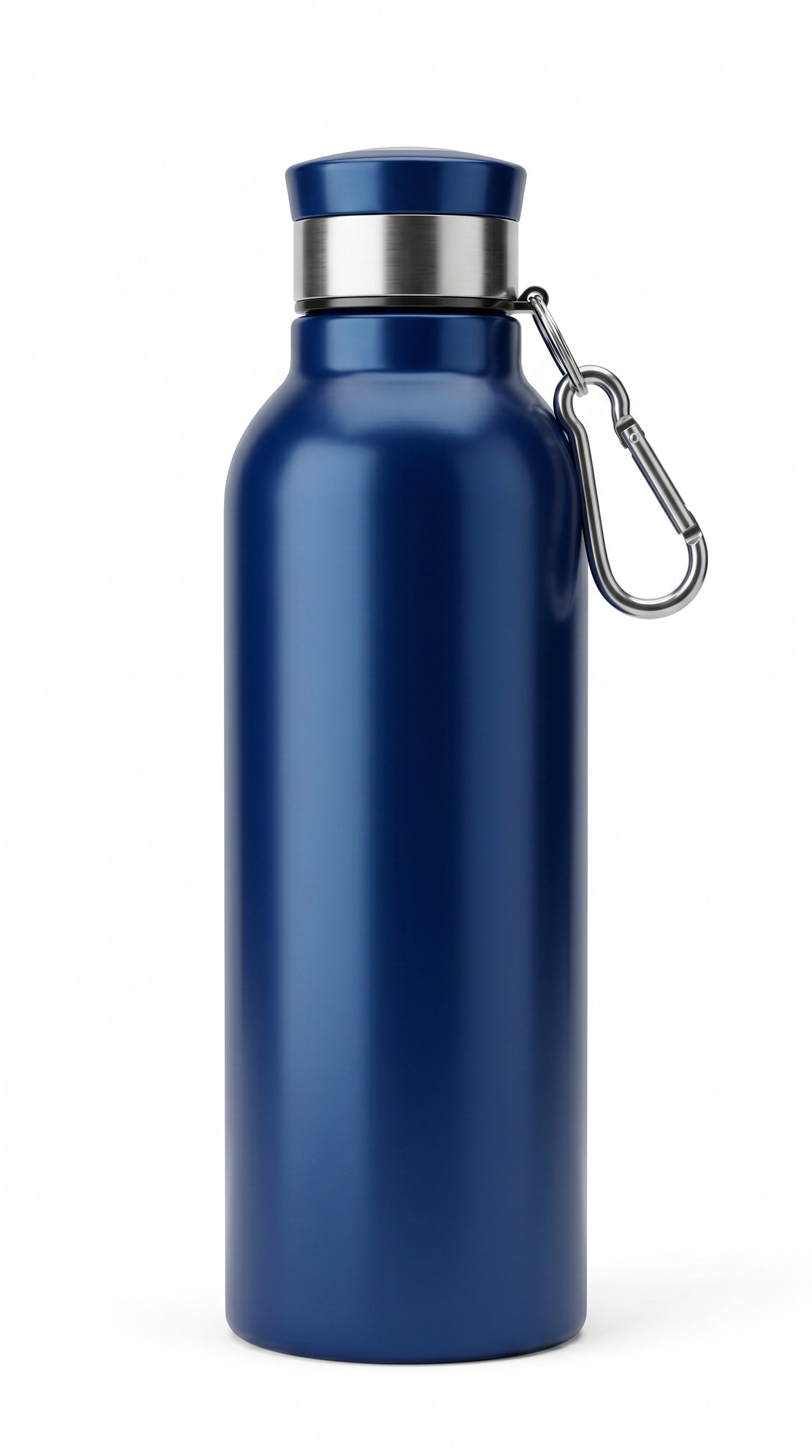Stainless Steel Water Bottle With Carabiner Insulated Bottle, Capacity: 750 mL