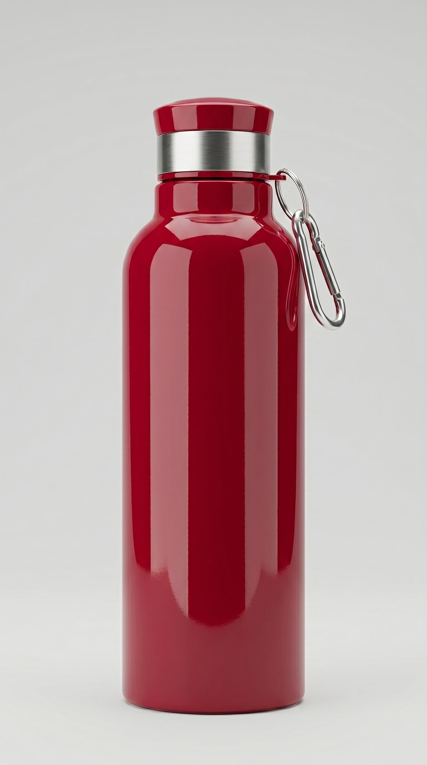 Stainless Steel Water Bottle With Carabiner Insulated Bottle, Capacity: 750 mL