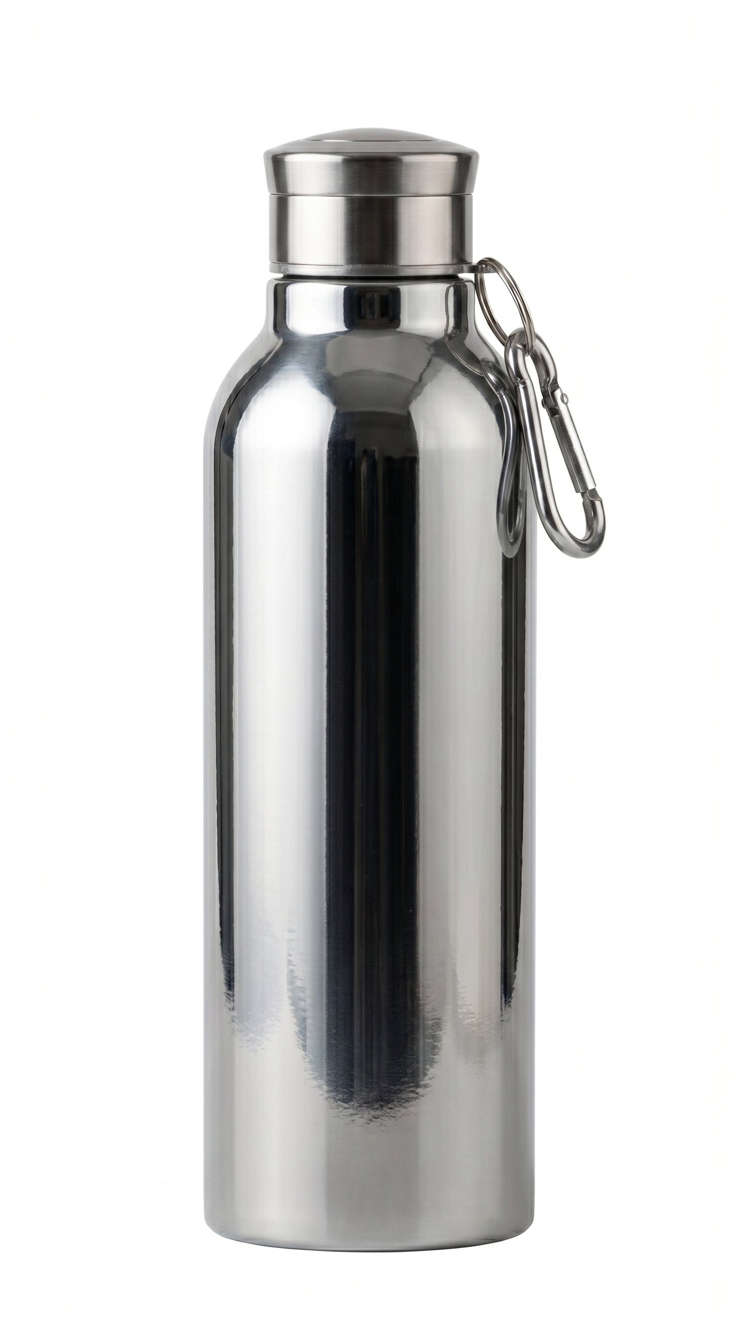 Stainless Steel Water Bottle With Carabiner Insulated Bottle, Capacity: 750 mL