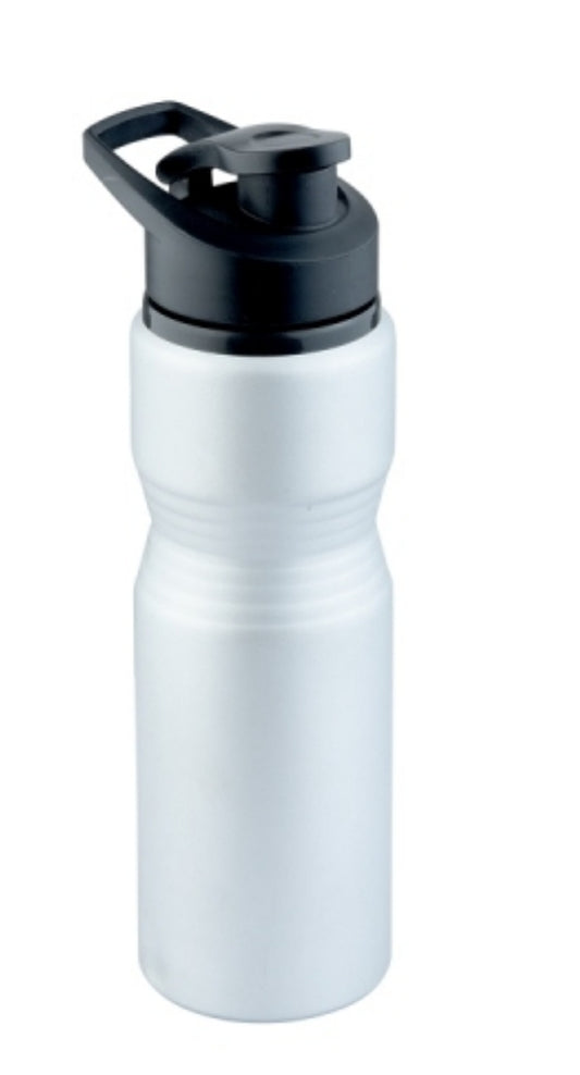 Silver Matt Sipper Water Bottle with Handle & Lid Cap, Capacity: 750 mL